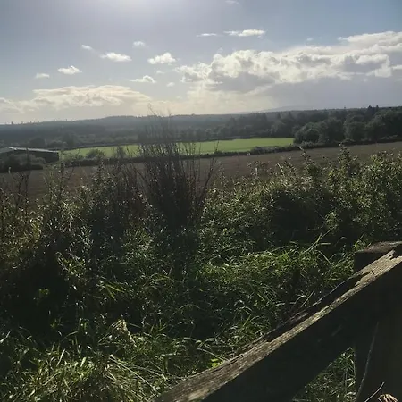 Primrose Hill * Ballybrittas